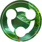 云顶集团(中国区)官方网站